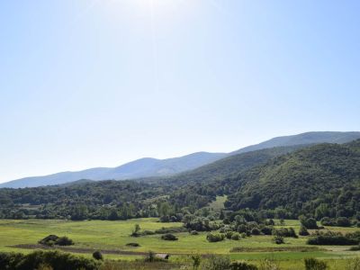 Pogled na prirodu i zelenilo Sokobanje