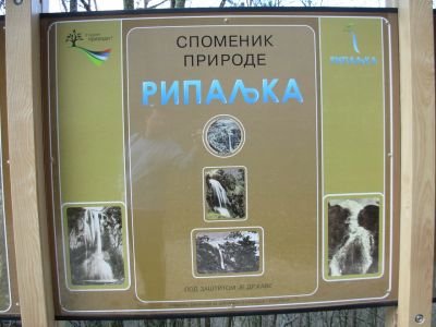 ripaljka