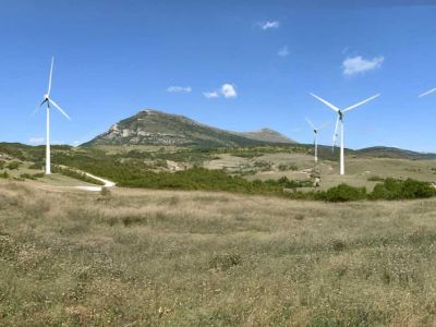 zlatiborizacija rtnja