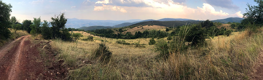 košavsko