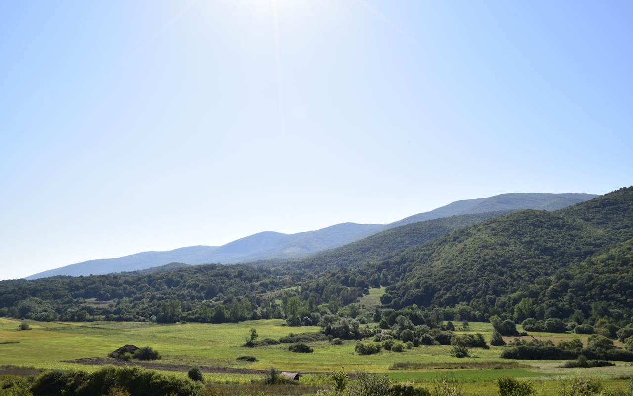 Pogled na prirodu i zelenilo Sokobanje