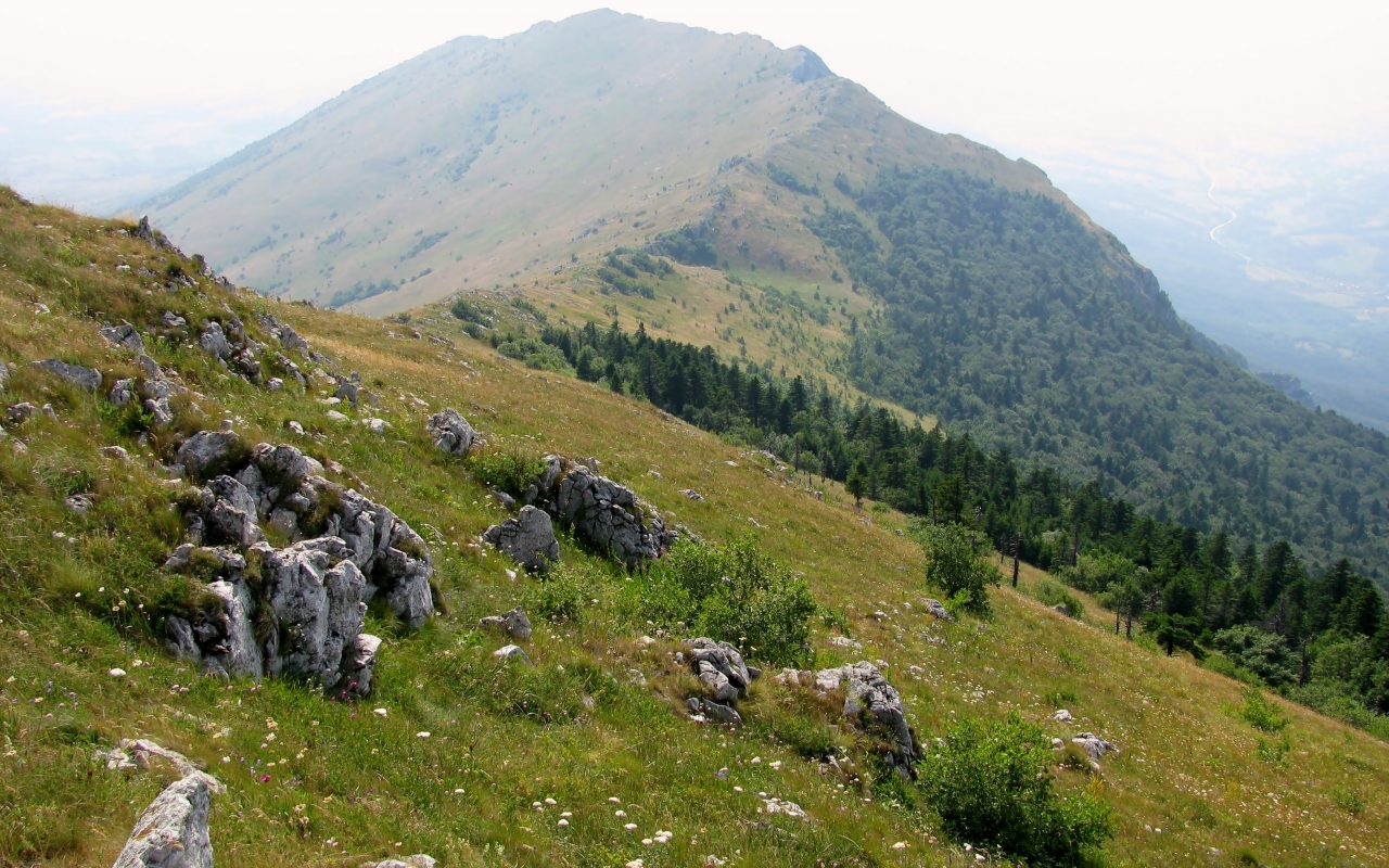 rtanj