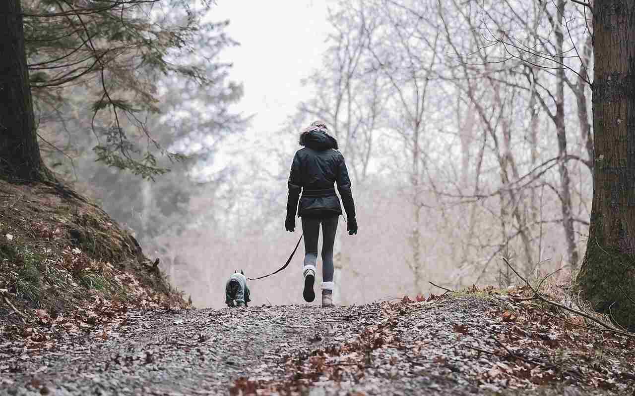 Devojka u zimskoj jakni šeta psa u šumi https://pixabay.com/photos/nature-hike-pet-woman-activity-6967075/
