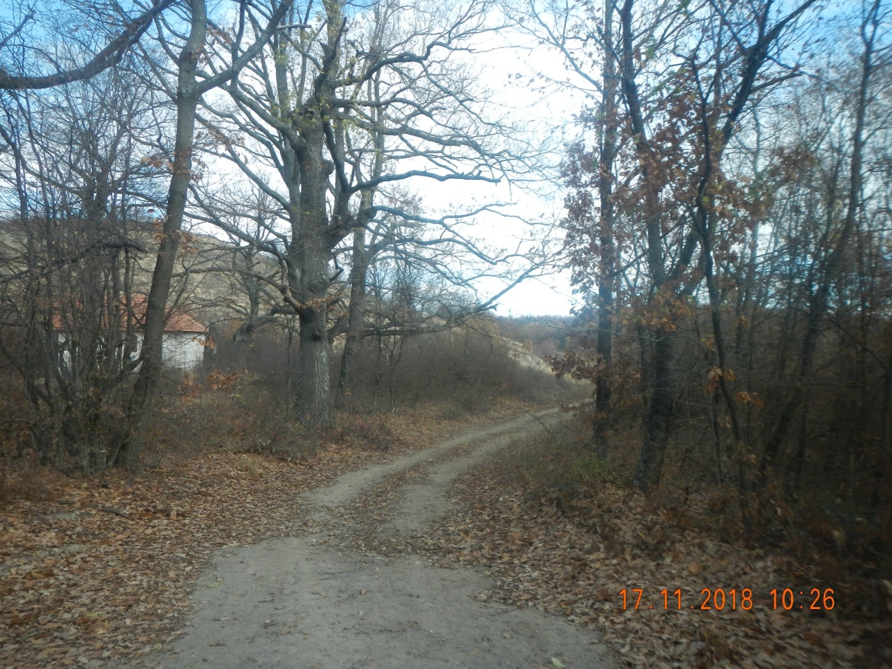 staza