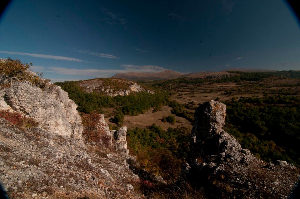 Vrmdza